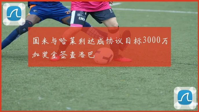 国米与哈莱利达成协议目标3000万加奖金签查洛巴