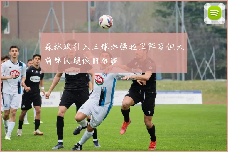 森林狼引入三球加强控卫阵容但大前锋问题依旧难解